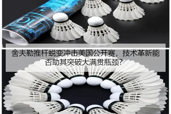 she-fu-lei-tui-gan-tui-bian-chong-ji-mei-guo-gong-kai-sai-ji-shu-ge-xin-neng-fou-zhu-qi-tu-po-da-man-guan-ping-jing-3-864.jpg