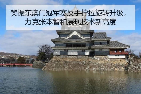 樊振东澳门冠军赛反手拧拉旋转升级，力克张本智和展现技术新高度