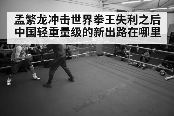 孟繁龙冲击世界拳王失利之后中国轻重量级的新出路在哪里