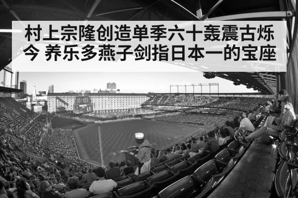 baseball stadium crowd