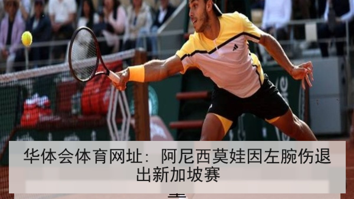 华体会体育网址: 阿尼西莫娃因左腕伤退出新加坡赛