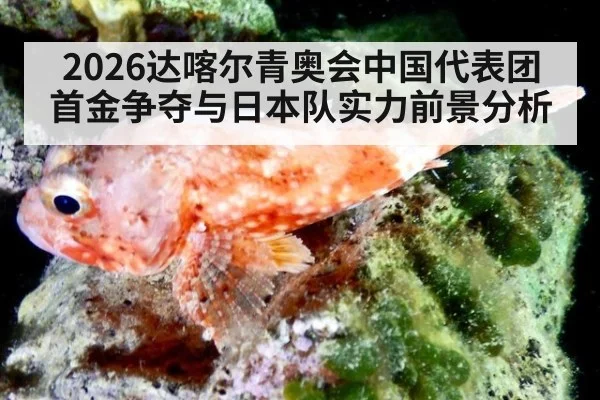 2026达喀尔青奥会中国代表团首金争夺与日本队实力前景分析